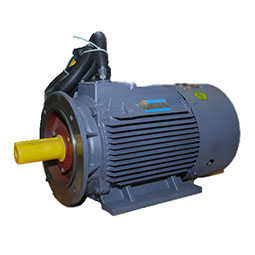 YD、YDT系列變極多速電動(dòng)機(jī)